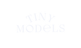 Tiny Models